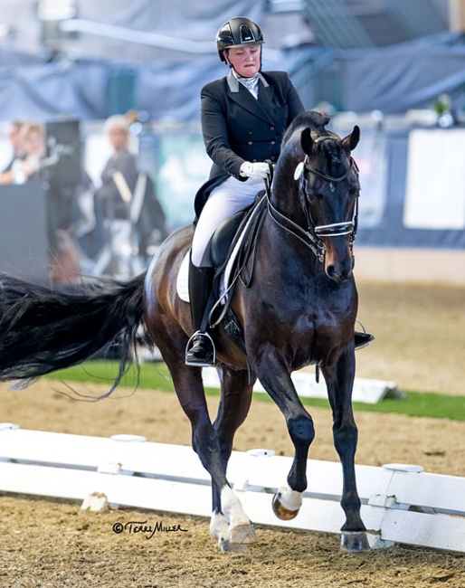 Pocock and Connaisseur at the 2018 CDI-W Del Mar :: Photo © Terri Miller