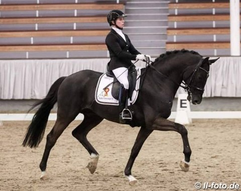 Annika Korte and Santo Domingo II at the Stallion Sport Test in February :: Photo © LL-foto