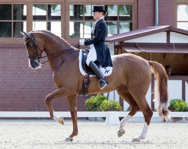 Isabell Werth and Bella Rose at the 2018 CDI Cappeln :: Photo © Michael Rzepa