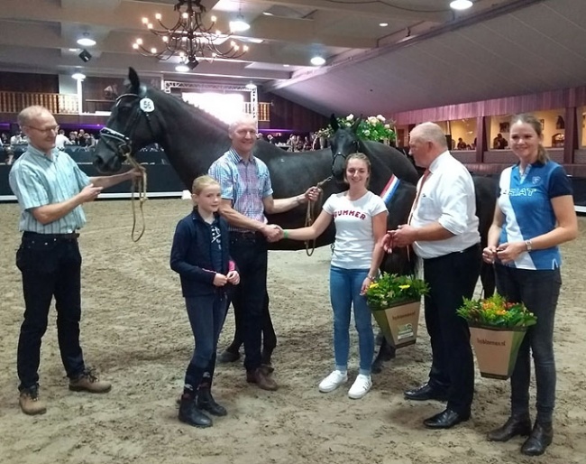 Mercedes Verweij buys Nina Ricci at the 2018 Midden-Nederland KWPN Foal Auction