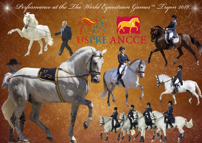 Pure Spanish Horse Exhibition at the 2018 World Equestrian Games