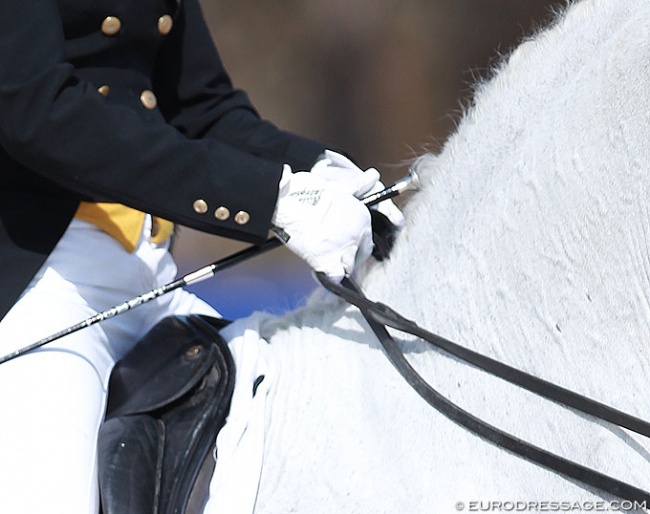 Rider's hands :: Photo © Astrid Appels