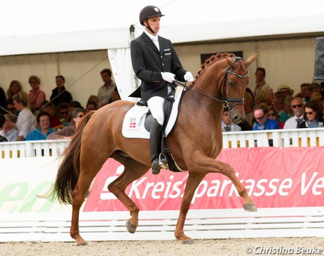 Andreas Helgstrand and Fiontina at the 2015 World Young Horse Championships :: Photo © Christina Beuke