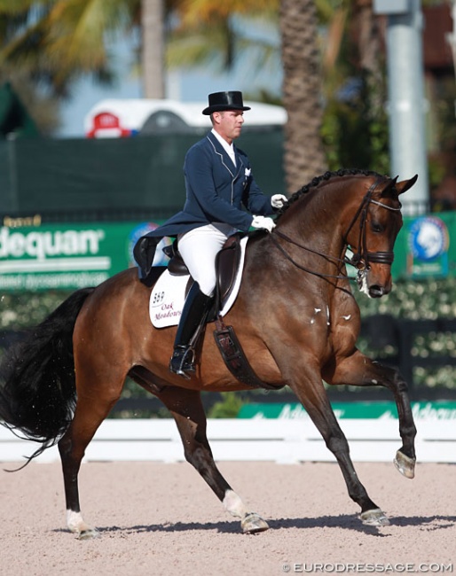 Chris Hickey and Ronaldo at the 2015 CDI Wellington :: Photo © Astrid Appels