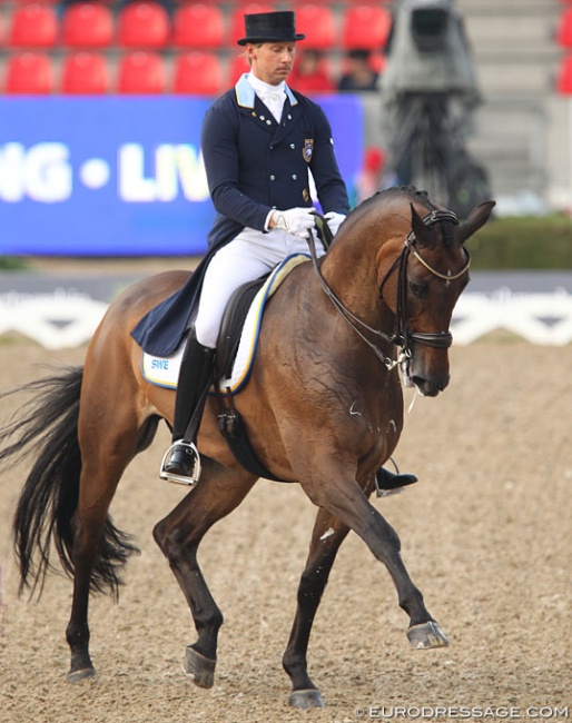 Toy Story at the 2013 European Dressage Championships in Herning :: Photo © Astrid Appels