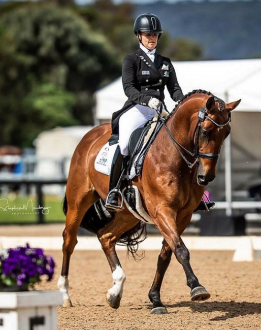 Shannan Goodwin and Aristede at the 2018 CDI Boneo/Australian Dressage Championships :: Photo © Stephen Mowbray