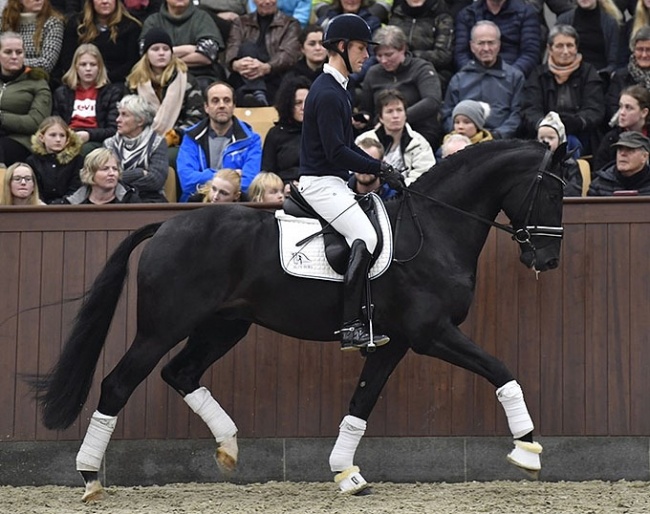 Daniel Bachmann Andersen and Blue Hors Kingston :: Photo © Ridehesten