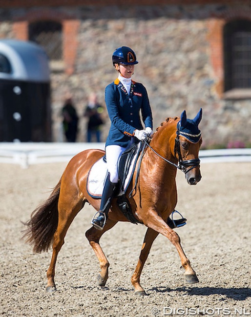 Wonderful Girl at the 2016 European Pony Championships :: Photo © Digishots