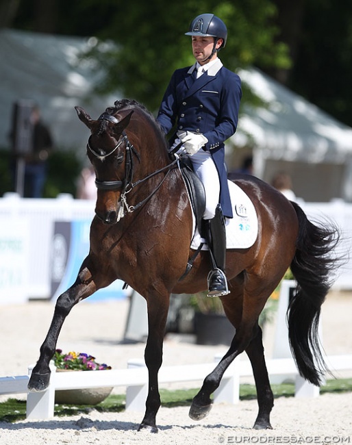 Sonnar Murray-Brown on Erlentanz at the 2018 CDIO Compiegne :: Photo © Astrid Appels