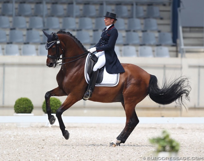 Stephanie Brieussel on Amorak at the 2019 CDI Aachen Dressage Days :: Photo © Astrid Appels