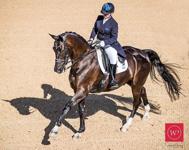 Sue Hearn and Remmington at the 2019 CDI Bawley Point :: Photo © Stephen Mowbray