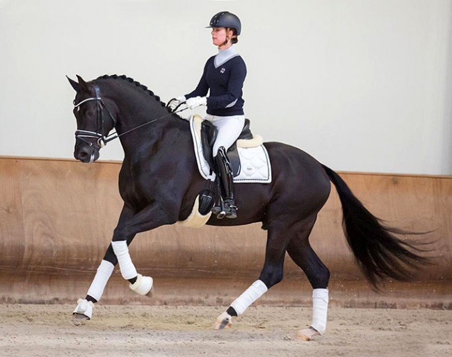 Adelinde Cornelissen and Milford VDL