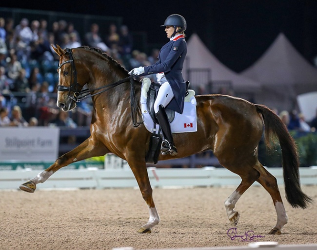 An almost five month pregnant Brittany Fraser-Beaulieu on All In at the 2019 CDI 5* Wellington :: Photo © Sue Stickle