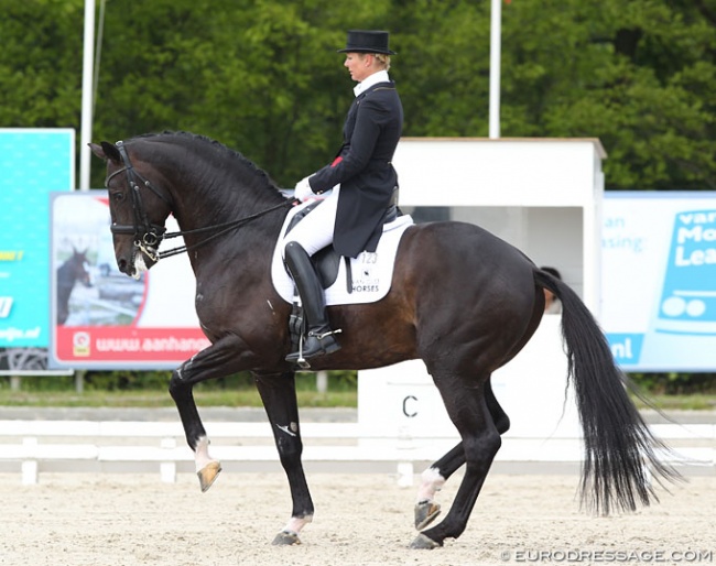 Anne van Olst and Netto at the 2013 CDI Roosendaal :: Photo © Astrid Appels