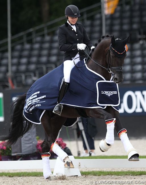 Co-owner Mario von Depka announced that World YH Champion and Hanoverian breeding stallion Don Martillo is suspected to suffer from shivers yet no vet report substantially sustains the claim so far :: Photo © Astrid Appels