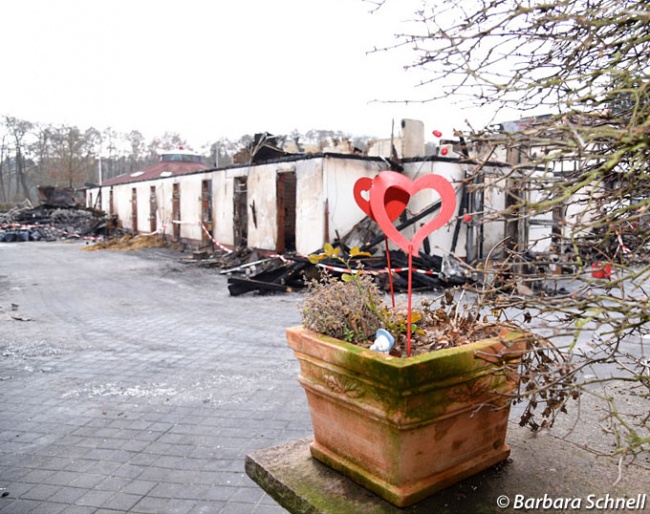 Gestut Erlenhof after the fire :: Photo © Barbara Schnell
