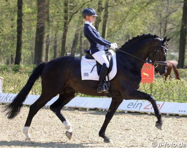 Jessica Lynn Andersson and Secret at the regional show in Dotlingen - April 2019 :: Photo © LL-Foto
