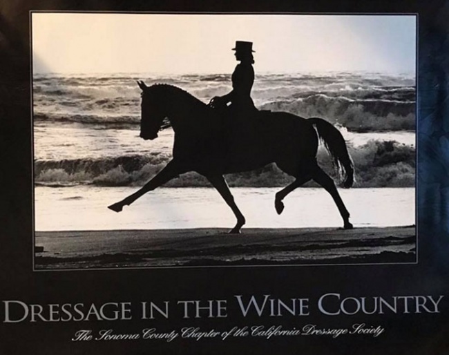 Gwen Stockebrand and Casino as poster heroes for Dressage in the Wine Country