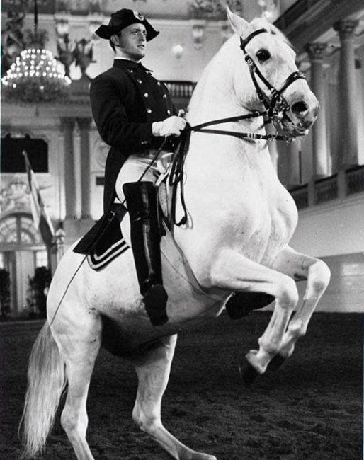 Mikolka rides a levade aboard Neapolitano Strana at the Spanish Riding School of Vienna