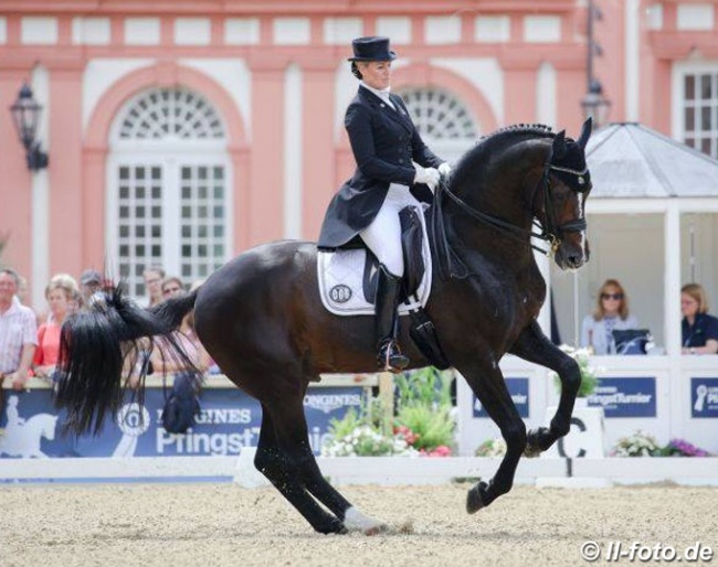 Bernadette Brune and Spirit of the Age OLD at the 2019 CDI Wiesbaden :: Photo © LL-foto