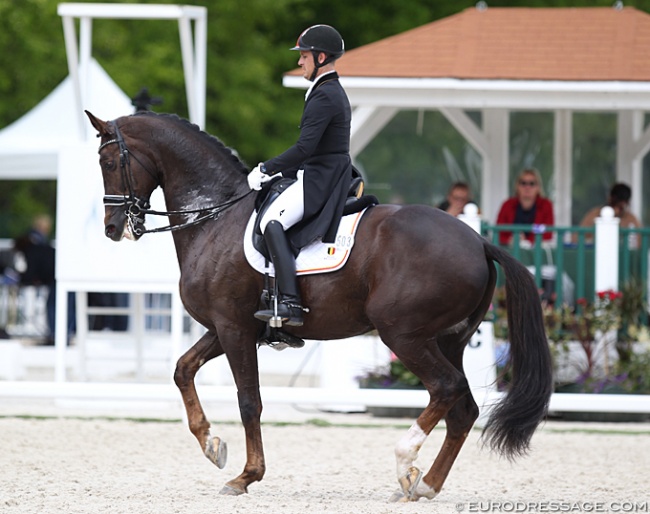 Simon Missiaen on Charlie at the 2019 CDIO Compiegne :: Photo © Astrid Appels