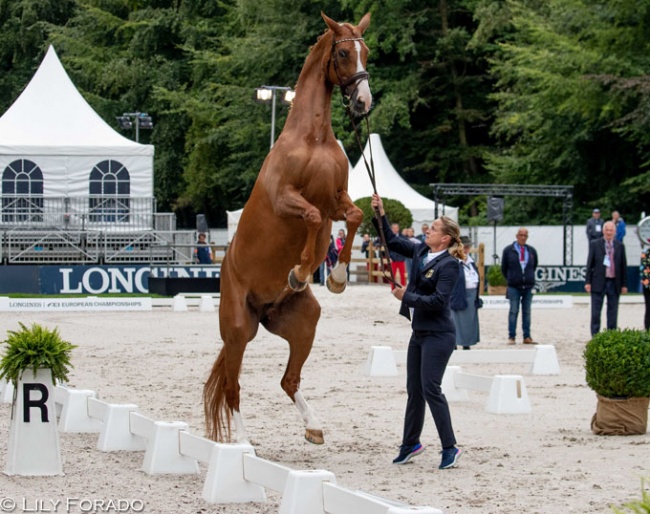 Isabell Werth's Bella Rose is up in the air at the horse inspection for the 2019 European Dressage Championships :: Photo © Lily Forado
