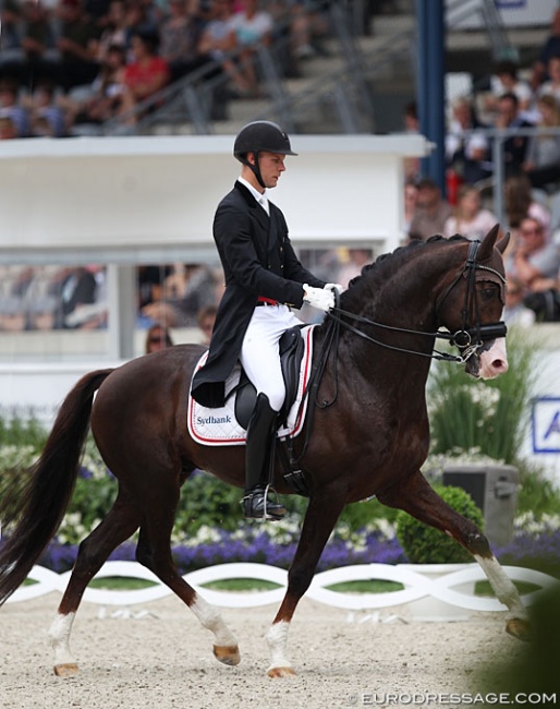 Daniel Bachmann Andersen and Blue Hors Don Olymbrio at the 2019 CDIO Aachen :: Photo © Astrid Appels