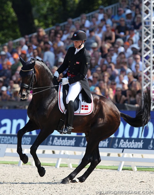Daniel Bachmann Andersen and Blue Hors Zack at the 2019 European Dressage Championships :: Photo © Astrid Appels