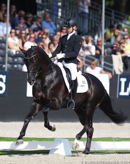 Bart Veeze and Imposantos this summer at the 2019 World Young Horse Championships :: Photo © Astrid Appels