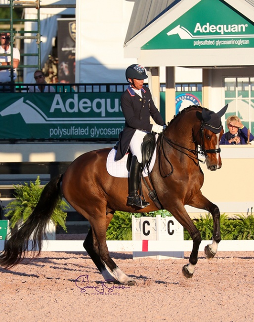 Steffen Peters and Suppenkasper at the 2020 CDI-W Wellington :: Photo © Sue Stickle