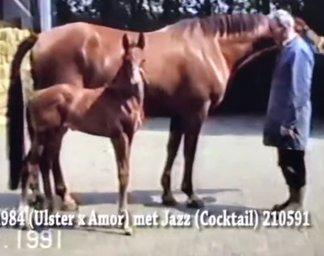 Jazz as a young foal on 5 June 1991 with his breeder Huub van Helvoirt