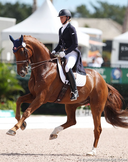 Heather Blitz and Paragon at the 2014 Palm Beach Dressage Derby CDI :: Photo © Astrid Appels