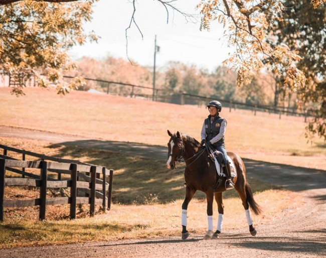 Cavalor, official FEI nutrition partner :: Photo © Erin Gilmore