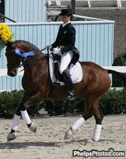Laura Noyes and Syncro at the 2006 Dressage at Devon :: Photo © Mary Phelps