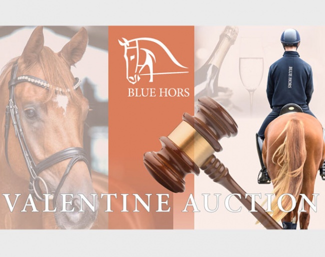Blue Hors Valentine Auction on 2 February 2024