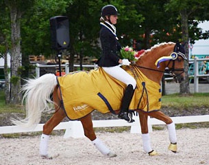 Amanda Barnestam Olsson on Jarno at the 2017 Swedish Pony Championships