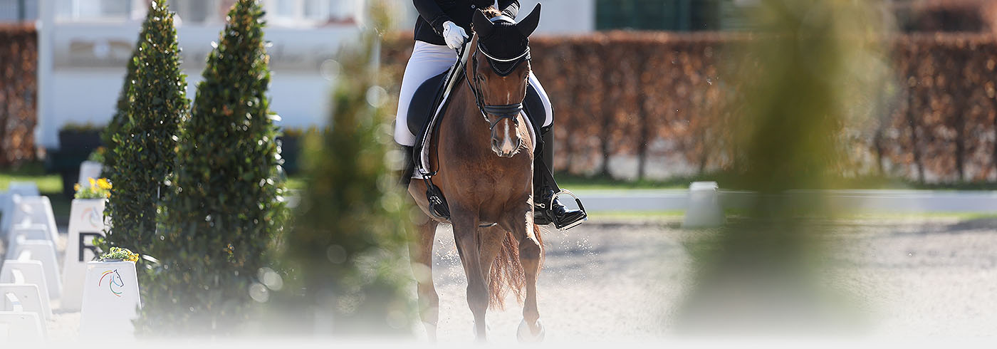 EQUESTRIAN ROYAL WARRANT HOLDER EXPECTS KING CHARLES III TO DEMAND HIGH  ENVIRONMENTAL STANDARDS.