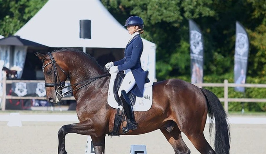 Marieke van der Putten and Zum Gück at the 202" CDN Houten :: Photo © Roland Hitze