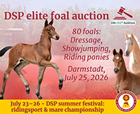 Banner - DSP Foal Auction 2026