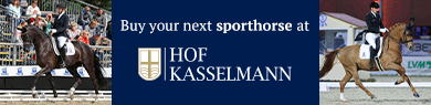 Banner - Kasselmann