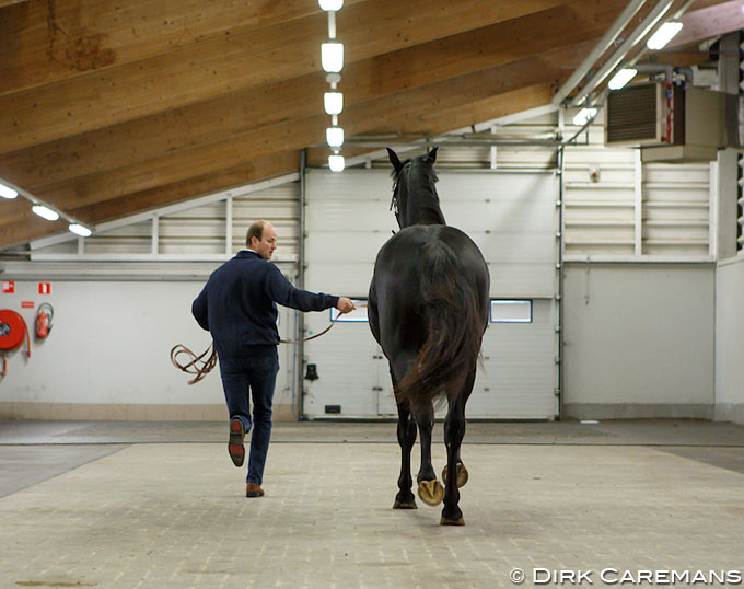 Your Horse Fails the Pre-Purchase Exam: Is There Reason to Panic?