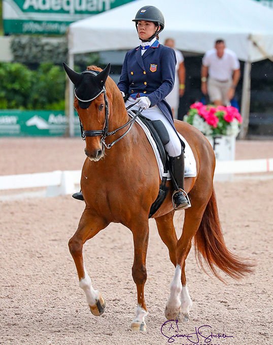 Bacariza Dominates 2019 Florida International Youth Dressage Championships