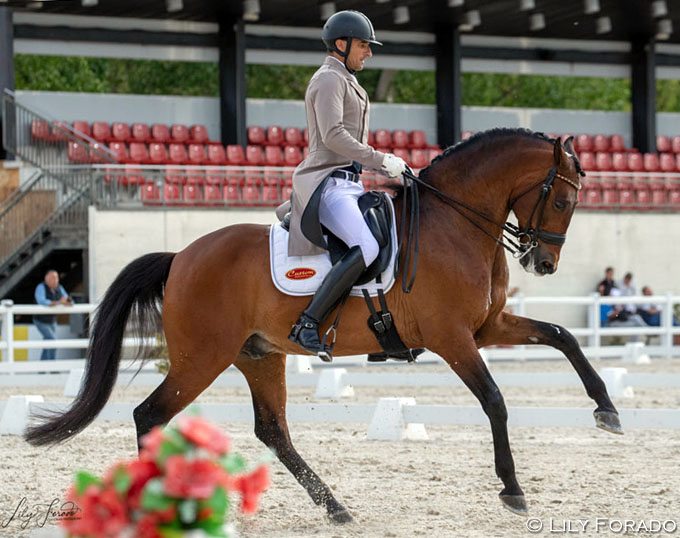 Muere el caballo Manchego ARB del Gran Premio de España