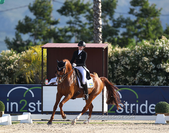 Fairy Tale, Ellen Linden Urnes' Swedish Triple Youth Team Horse, Sold