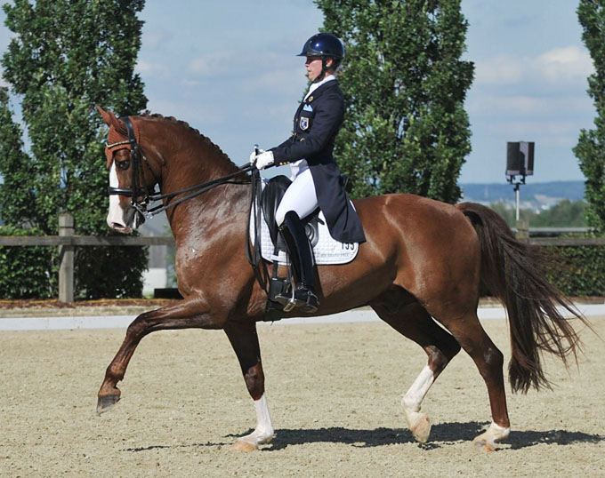 Terhi Stegars' Dalou Shan Passed Away