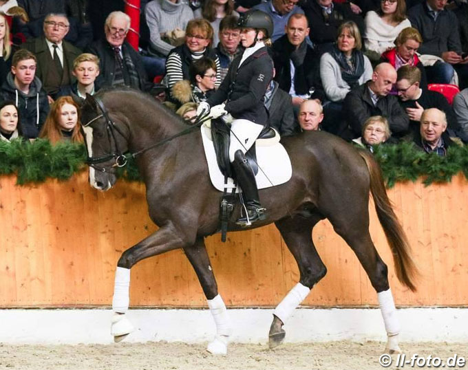 Sezuan's Donnerhall, High Scorer at 2018 Schlieckau 50-Day Stallion ...
