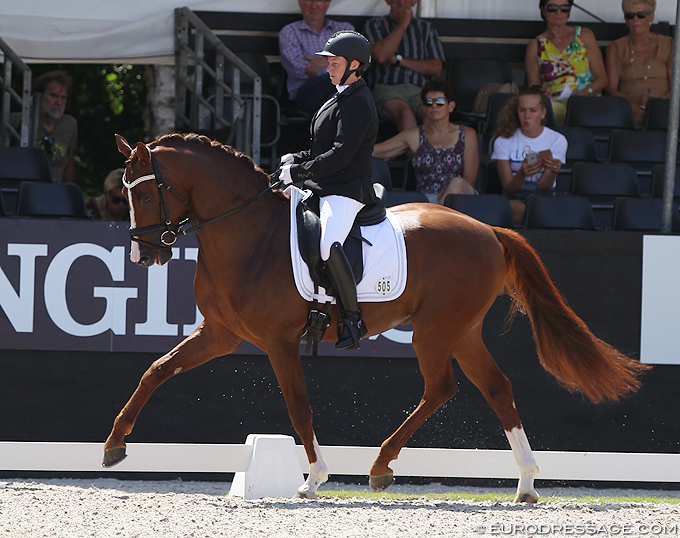 Belgian Equestrian Federation Changes World Young Horse Championship