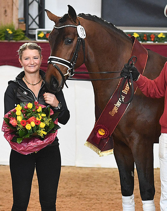 Finley, Champion of the 2020 German Sport Horse Stallion Licensing
