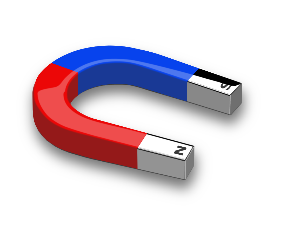 Blankets Magic Miracle Product or Placebo for the Horse Owner?