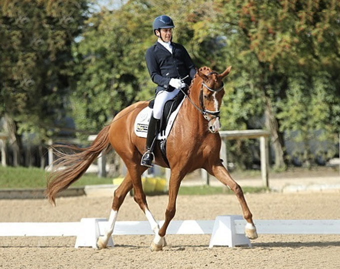 British Horses Selected for 2020 World Young Horse Championships